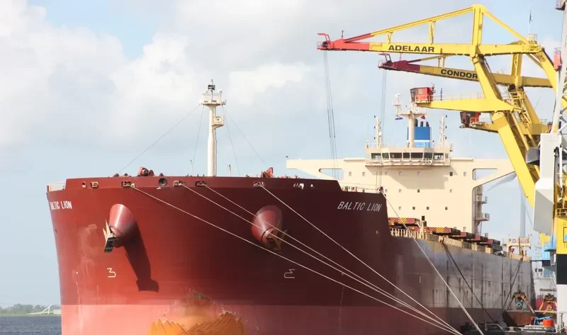 BALTIC LION Bulk Carrier IMO 9593464 photo 10