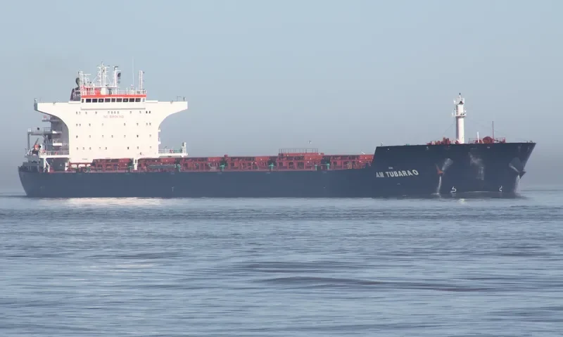 AM TUBARAO Bulk Carrier IMO 9593488