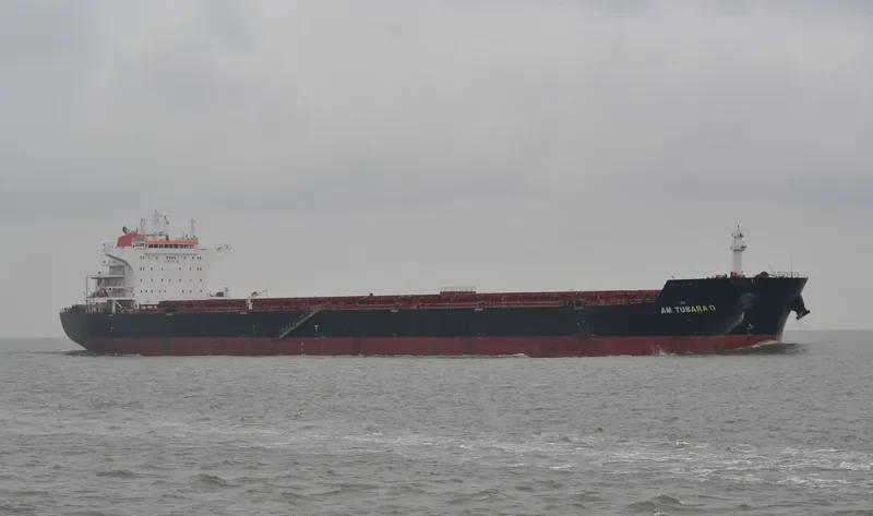 AM TUBARAO Bulk Carrier IMO 9593488 photo 3
