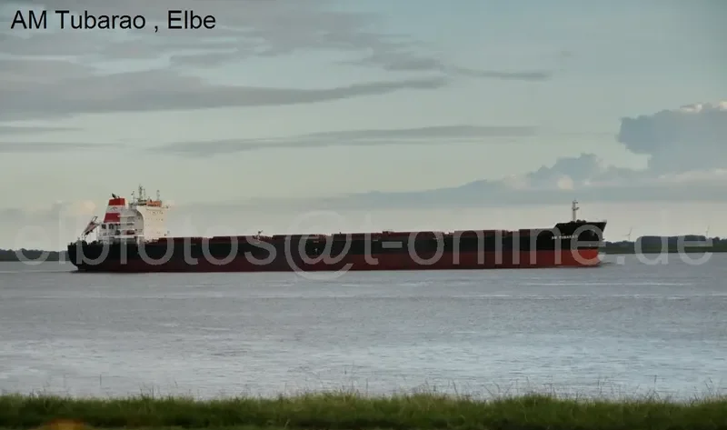 AM TUBARAO Bulk Carrier IMO 9593488 photo 5