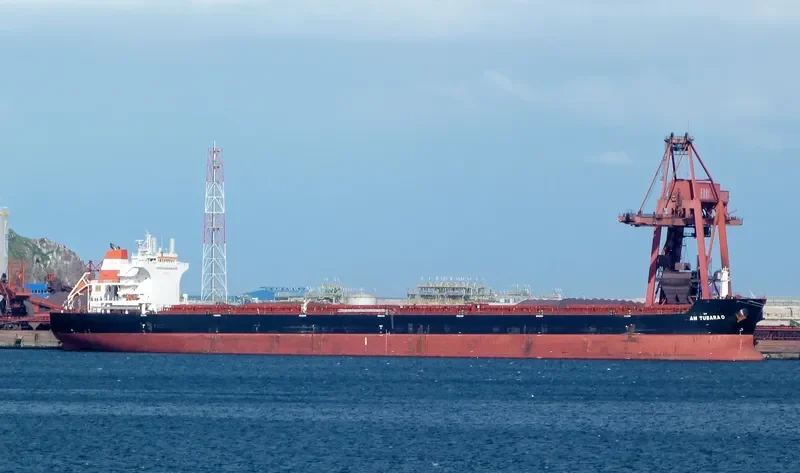 AM TUBARAO Bulk Carrier IMO 9593488 photo 8