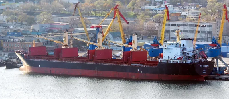 ZY HI SHENG Bulk Carrier IMO 9593622