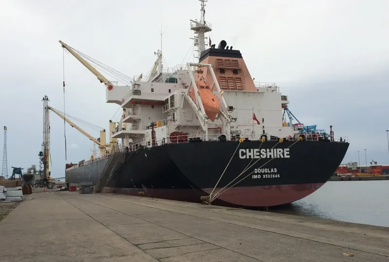 CHESHIRE Bulk Carrier IMO 9593646