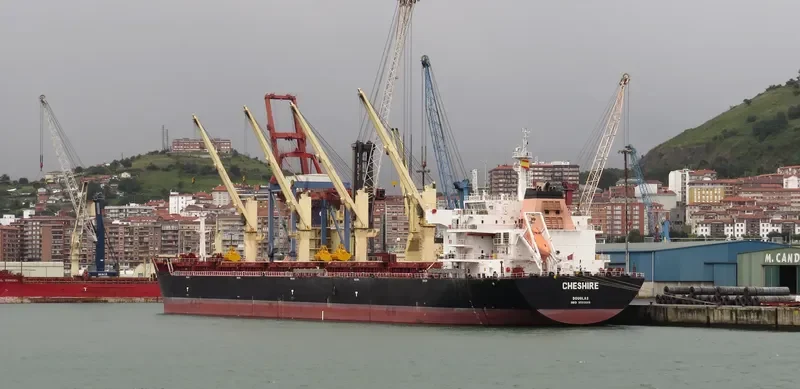 CHESHIRE Bulk Carrier IMO 9593646 photo 3