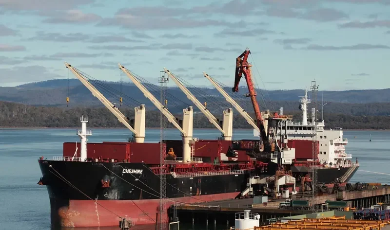 CHESHIRE Bulk Carrier IMO 9593646 photo 9