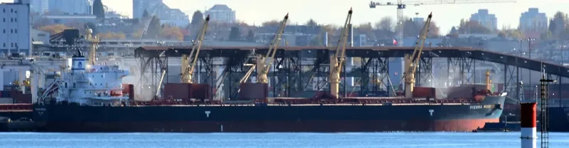 VIENNA WOOD N Bulk Carrier IMO 9593713