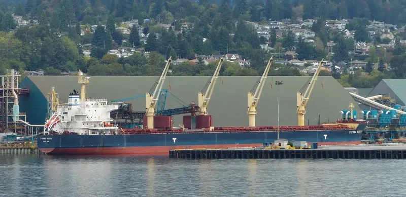 VIENNA WOOD N Bulk Carrier IMO 9593713 photo 5