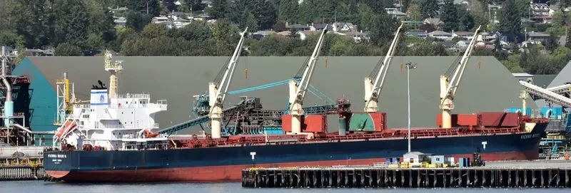 VIENNA WOOD N Bulk Carrier IMO 9593713 photo 7