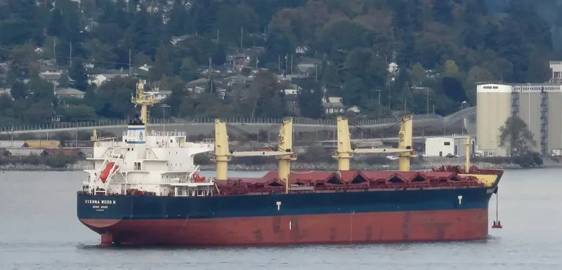 VIENNA WOOD N Bulk Carrier IMO 9593713 photo 8