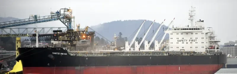 YANGTZE XING HUA Bulk Carrier IMO 9593751 photo 9
