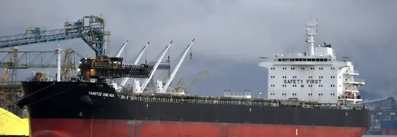 YANGTZE XING HUA Bulk Carrier IMO 9593751 photo 10