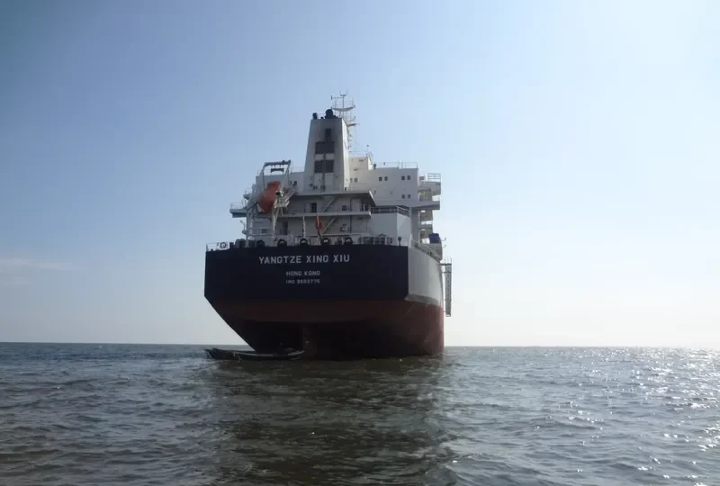 YANGTZE XING XIU Bulk Carrier IMO 9593775