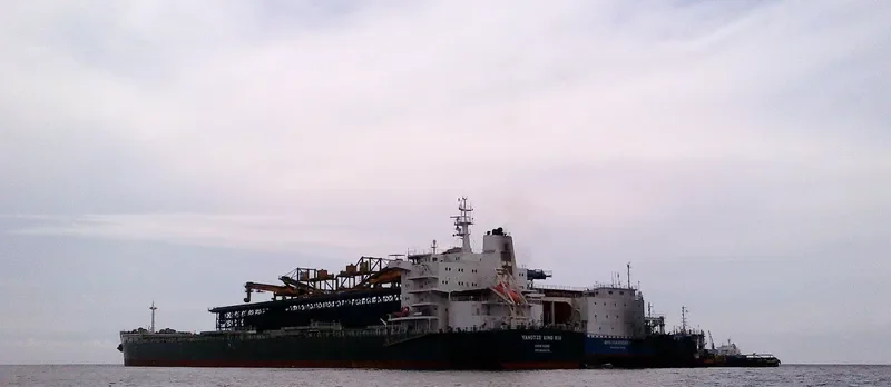 YANGTZE XING XIU Bulk Carrier IMO 9593775 photo 4