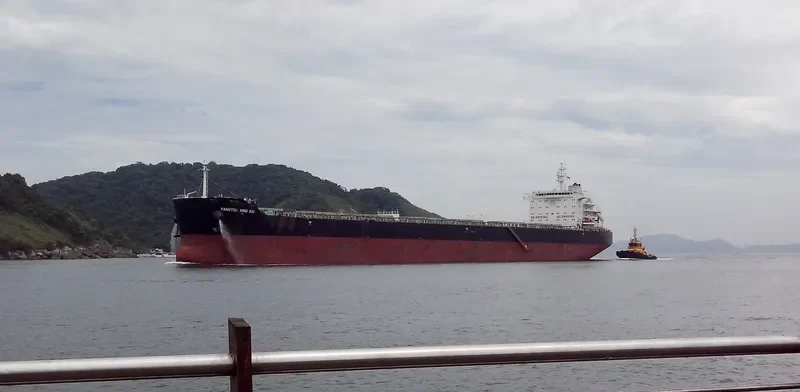 YANGTZE XING XIU Bulk Carrier IMO 9593775 photo 5