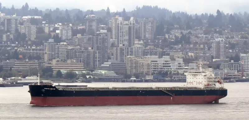 YANGTZE XING XIU Bulk Carrier IMO 9593775 photo 7