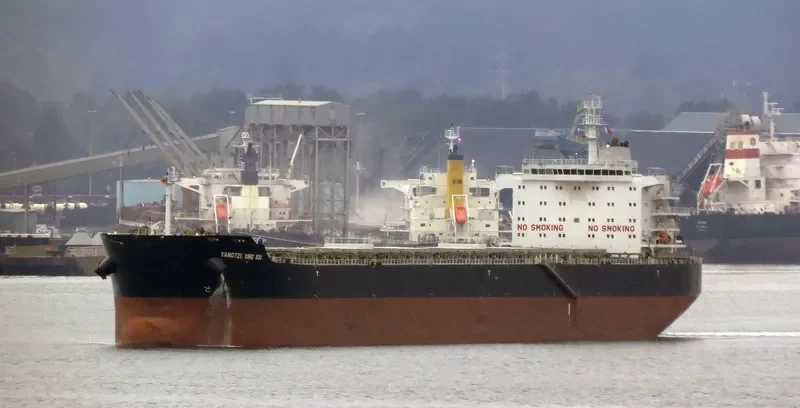 YANGTZE XING XIU Bulk Carrier IMO 9593775 photo 8