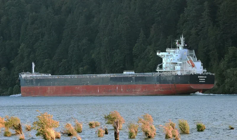 ZHENG KAI Bulk Carrier IMO 9593787