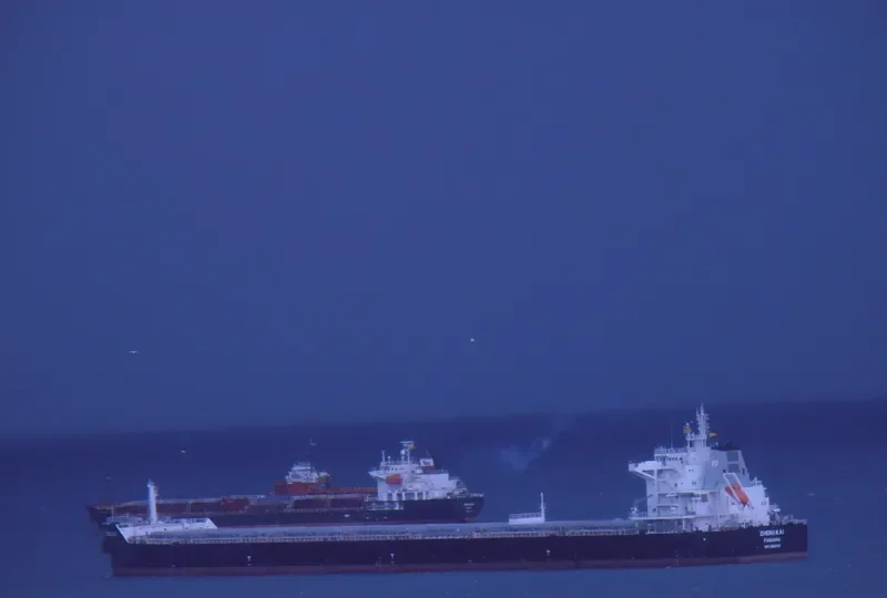 ZHENG KAI Bulk Carrier IMO 9593787 photo 6