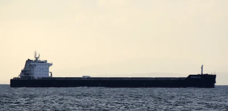 ZHENG KAI Bulk Carrier IMO 9593787 photo 7