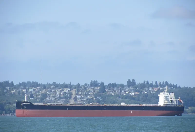 ZHENG KAI Bulk Carrier IMO 9593787 photo 10