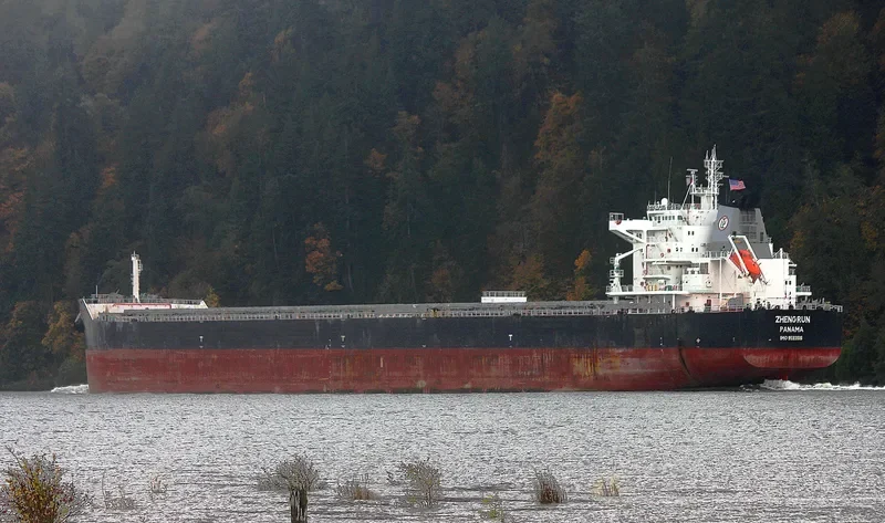 ZHENG RUN Bulk Carrier IMO 9593816