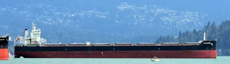 ZHENG RUN Bulk Carrier IMO 9593816 photo 7