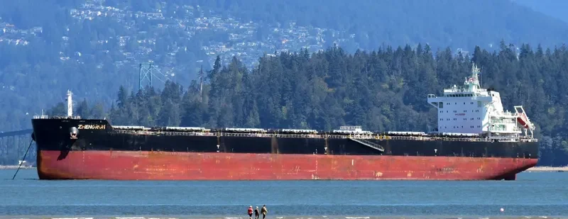 ZHENG RUN Bulk Carrier IMO 9593816 photo 10