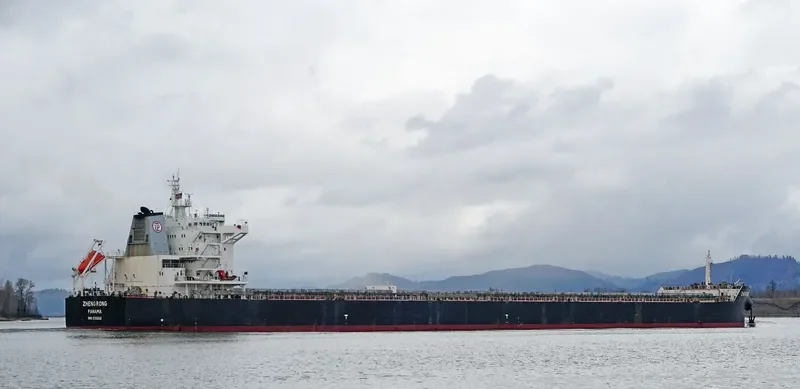 ZHENG RONG Bulk Carrier IMO 9593828 photo 7