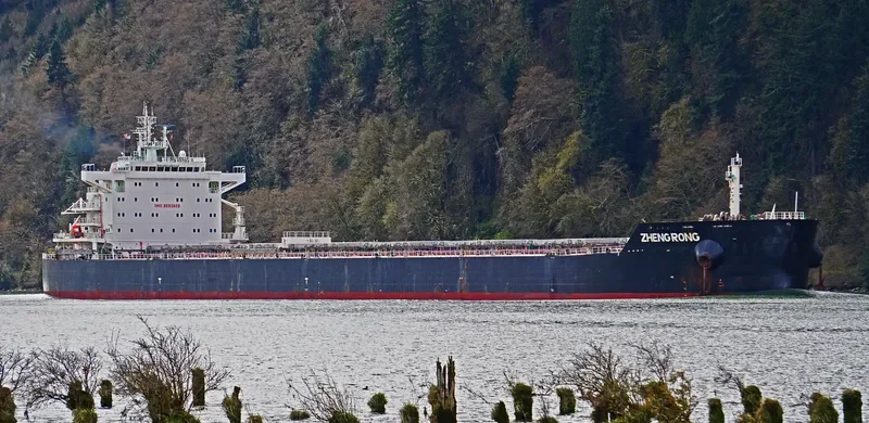 ZHENG RONG Bulk Carrier IMO 9593828 photo 10