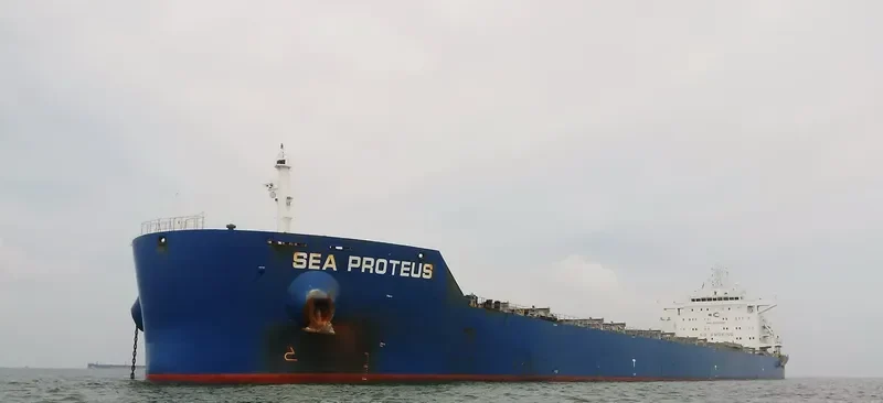 SEA PROTEUS Bulk Carrier IMO 9593830