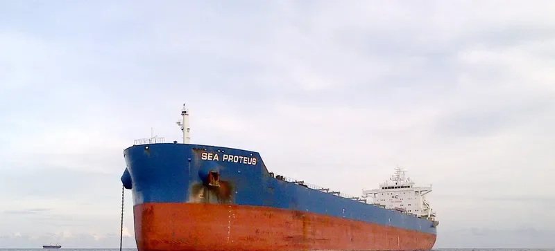 SEA PROTEUS Bulk Carrier IMO 9593830 photo 3