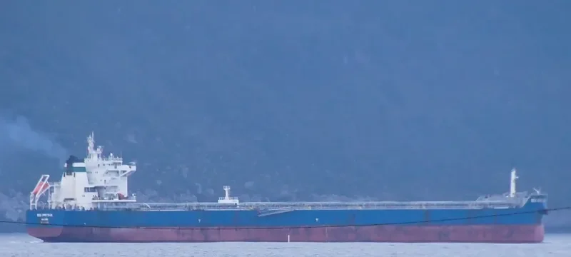 SEA PROTEUS Bulk Carrier IMO 9593830 photo 4