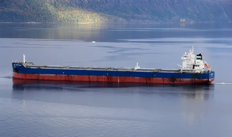 SEA PROTEUS Bulk Carrier IMO 9593830 photo 8