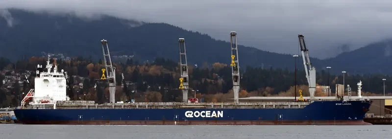 STAR LAGUNA Container Ship IMO 9593854