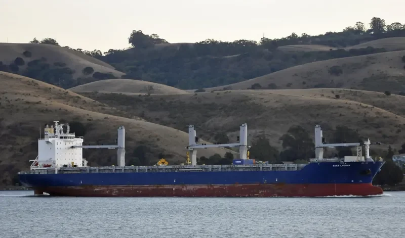 STAR LAGUNA Container Ship IMO 9593854 photo 2