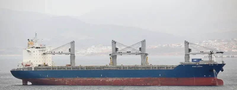 STAR LAGUNA Container Ship IMO 9593854 photo 3