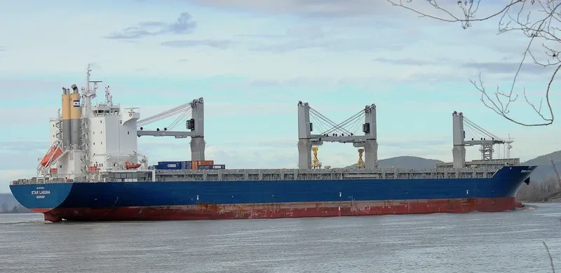 STAR LAGUNA Container Ship IMO 9593854 photo 7