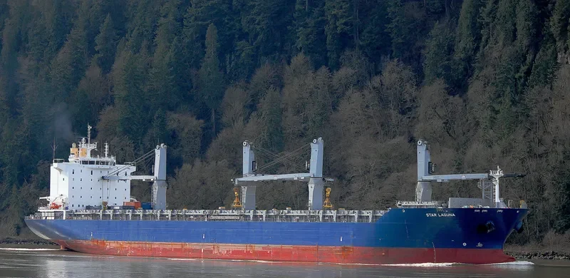 STAR LAGUNA Container Ship IMO 9593854 photo 8