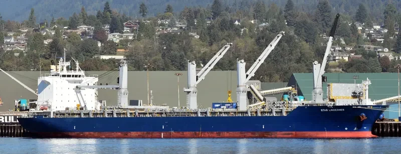 STAR LINDESNES General Cargo IMO 9593878 photo 7