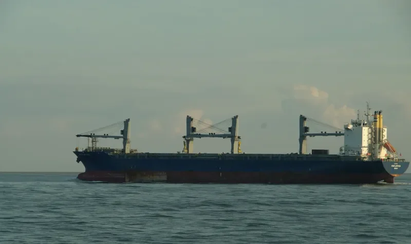 STAR LOFOTEN General Cargo IMO 9593892 photo 3