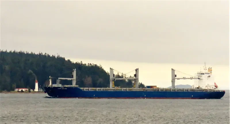 STAR LOFOTEN General Cargo IMO 9593892 photo 7