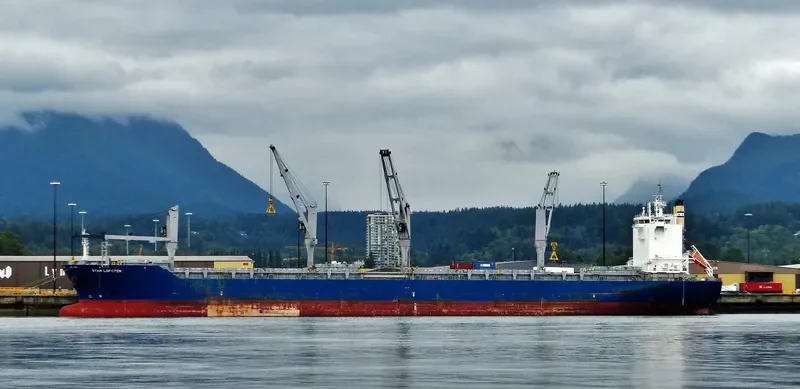 STAR LOFOTEN General Cargo IMO 9593892 photo 9