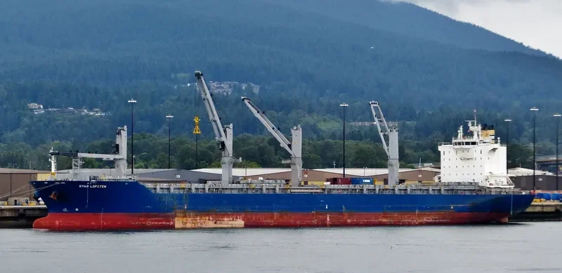 STAR LOFOTEN General Cargo IMO 9593892 photo 10