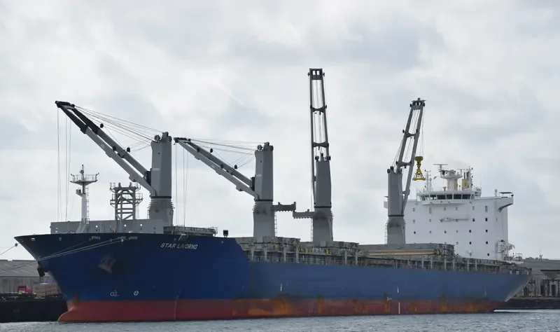 STAR LIVORNO General Cargo IMO 9593907 photo 3