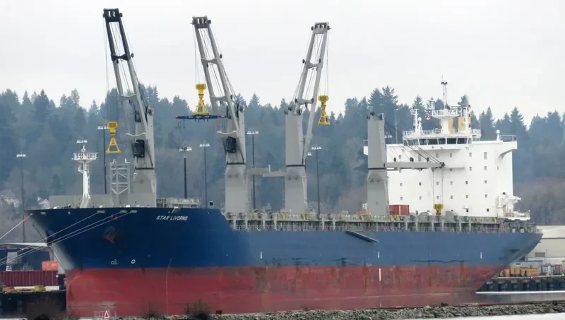 STAR LIVORNO General Cargo IMO 9593907 photo 5