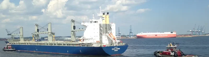 STAR LIVORNO General Cargo IMO 9593907 photo 9