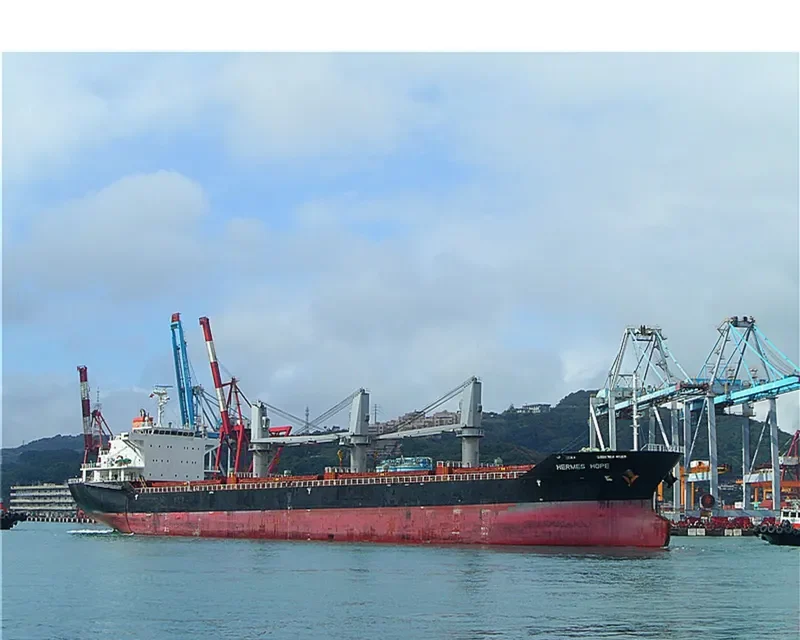 HERMES HOPE Bulk Carrier IMO 9594078