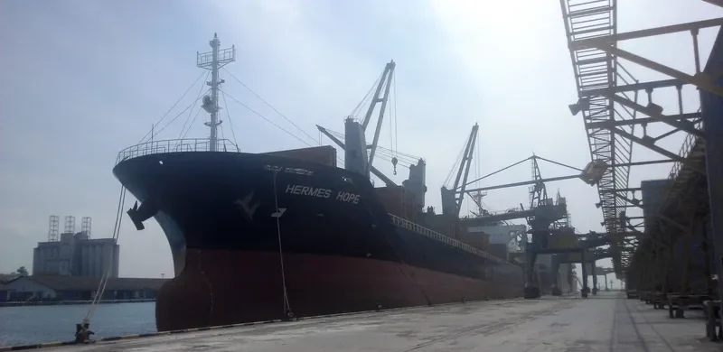 HERMES HOPE Bulk Carrier IMO 9594078 photo 4