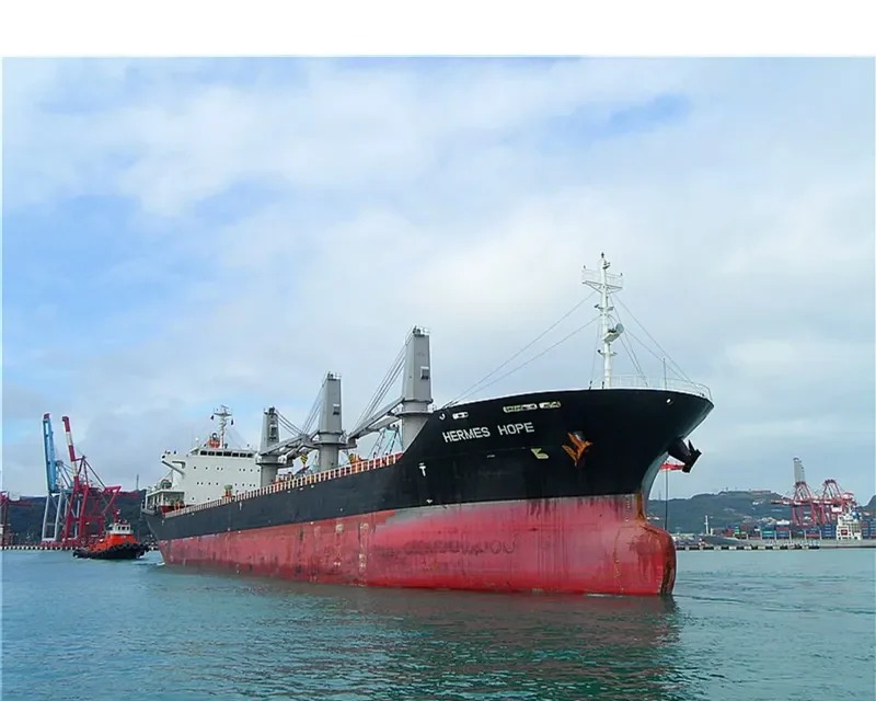 HERMES HOPE Bulk Carrier IMO 9594078 photo 9