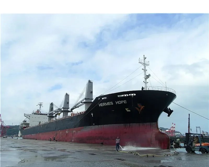 HERMES HOPE Bulk Carrier IMO 9594078 photo 10